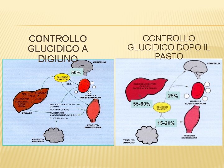 CONTROLLO GLUCIDICO A DIGIUNO CONTROLLO GLUCIDICO DOPO IL PASTO 