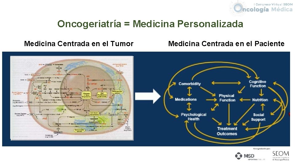 Oncogeriatría = Medicina Personalizada Medicina Centrada en el Tumor Medicina Centrada en el Paciente