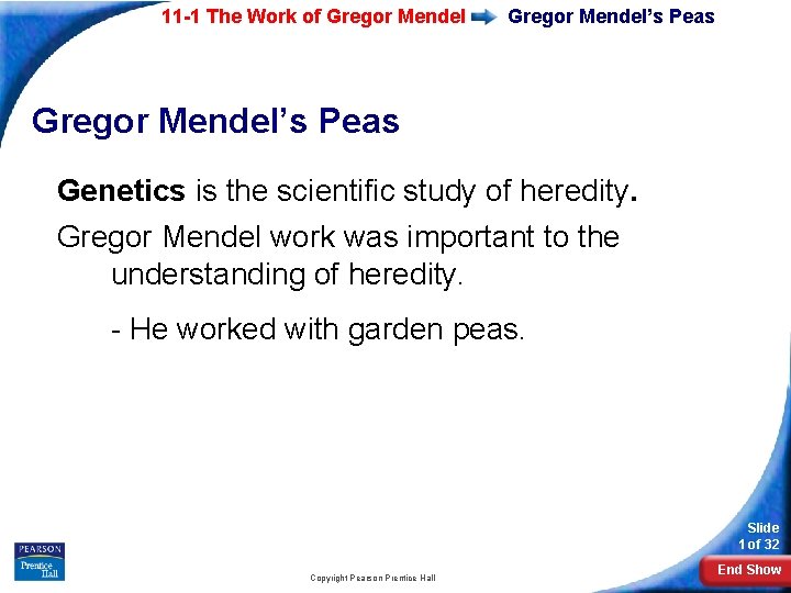 11 -1 The Work of Gregor Mendel’s Peas Genetics is the scientific study of