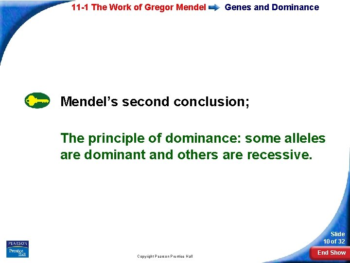 11 -1 The Work of Gregor Mendel Genes and Dominance Mendel’s second conclusion; The