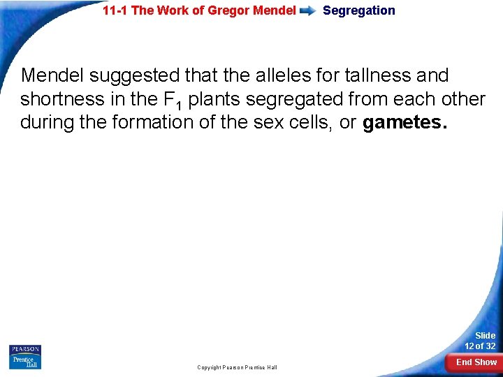 11 -1 The Work of Gregor Mendel Segregation Mendel suggested that the alleles for