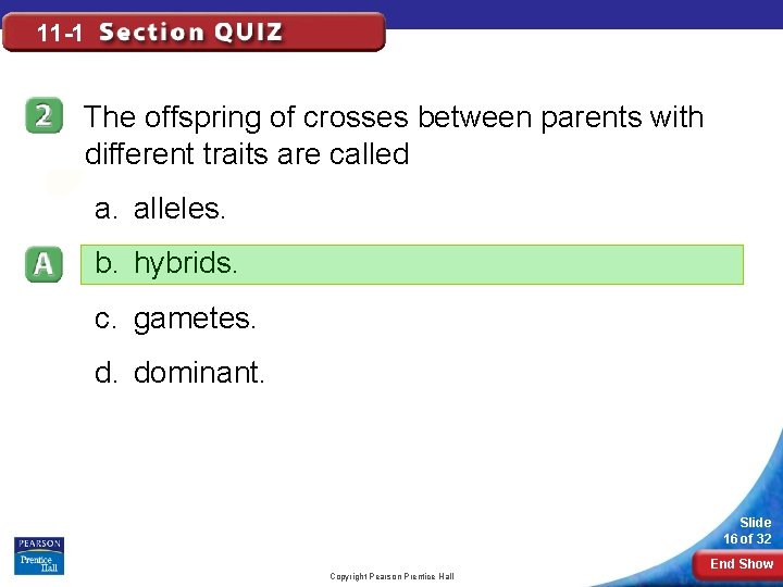 11 -1 The offspring of crosses between parents with different traits are called a.