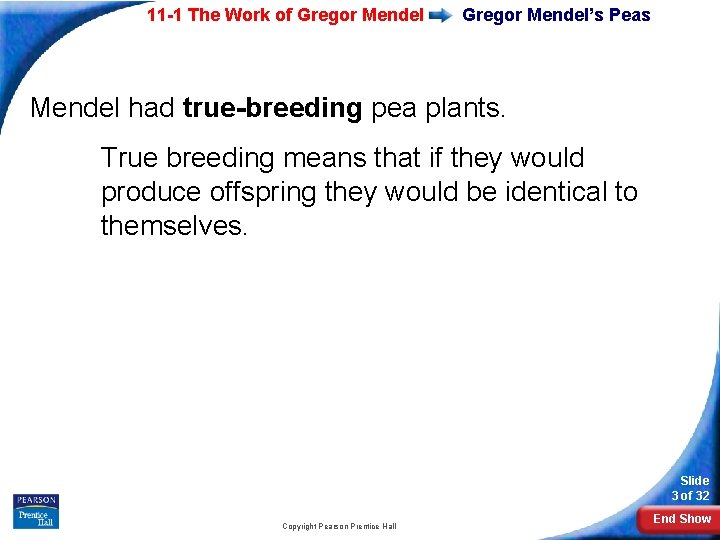 11 -1 The Work of Gregor Mendel’s Peas Mendel had true-breeding pea plants. True