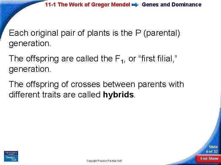 11 -1 The Work of Gregor Mendel Genes and Dominance Each original pair of