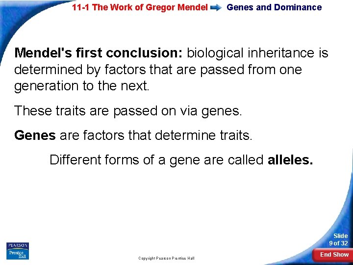 11 -1 The Work of Gregor Mendel Genes and Dominance Mendel's first conclusion: biological