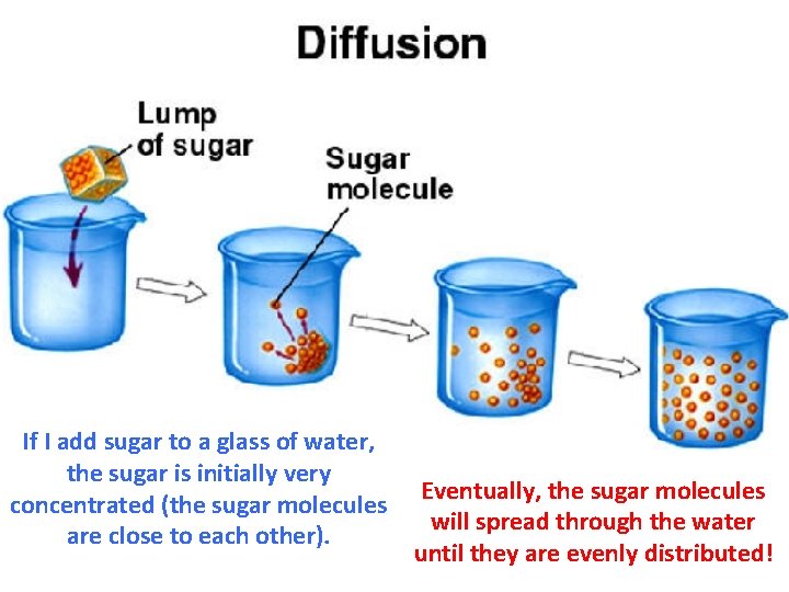 If I add sugar to a glass of water, the sugar is initially very