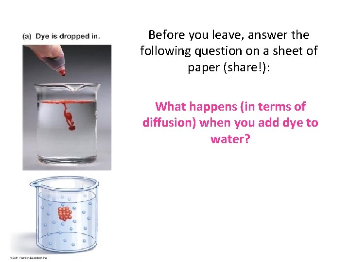Before you leave, answer the following question on a sheet of paper (share!): What