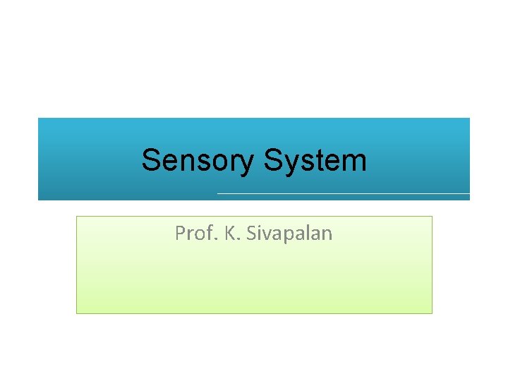 Sensory System Prof. K. Sivapalan 