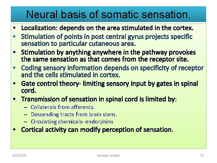 Neural basis of somatic sensation. • Localization: depends on the area stimulated in the