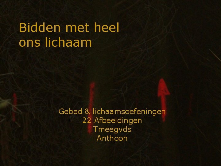 Bidden met heel ons lichaam Gebed & lichaamsoefeningen 22 Afbeeldingen Tmeegvds Anthoon 