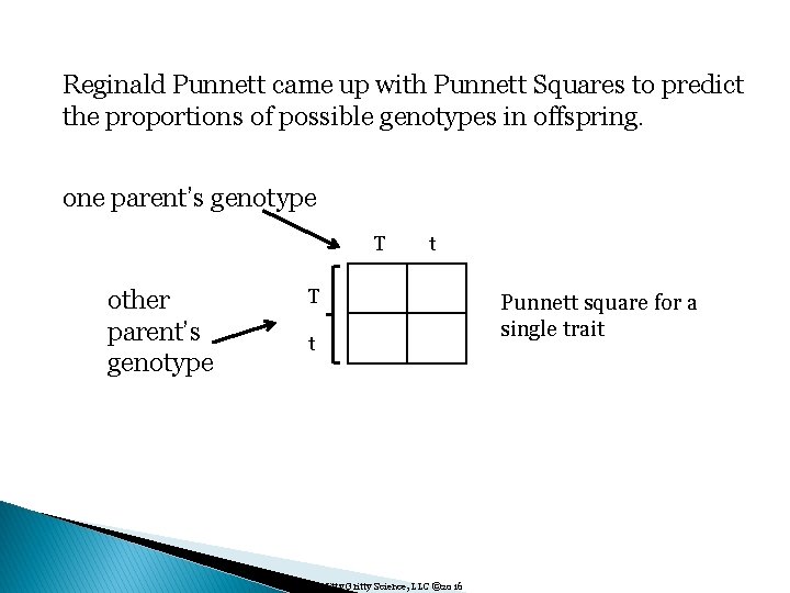 Reginald Punnett came up with Punnett Squares to predict the proportions of possible genotypes