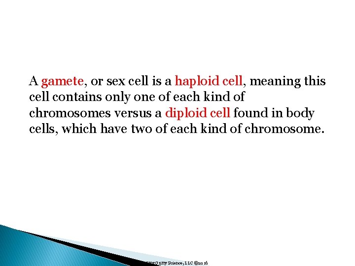 A gamete, or sex cell is a haploid cell, meaning this cell contains only