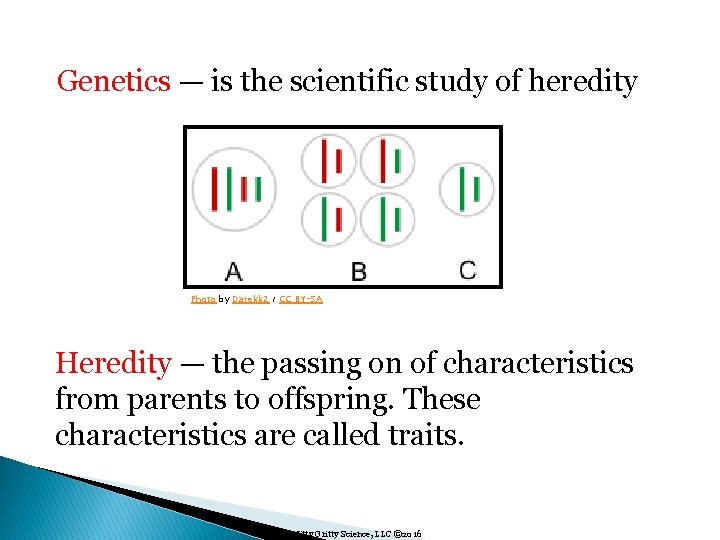 Genetics — is the scientific study of heredity Photo by Darekk 2 / CC