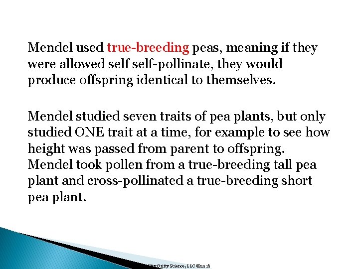 Mendel used true-breeding peas, meaning if they were allowed self-pollinate, they would produce offspring