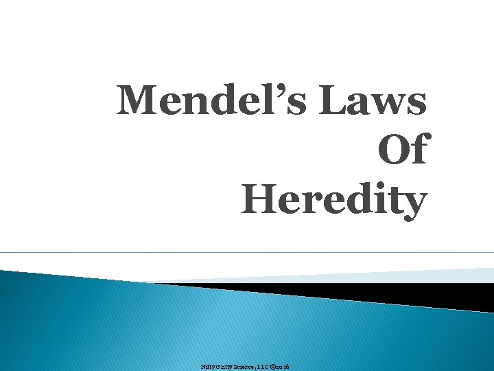 Mendel’s Laws Of Heredity Nitty Gritty Science, LLC © 2016 