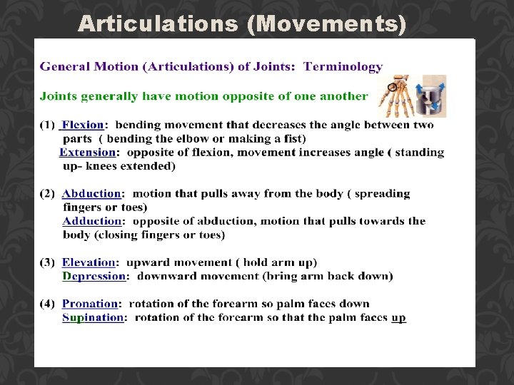 Articulations (Movements) 