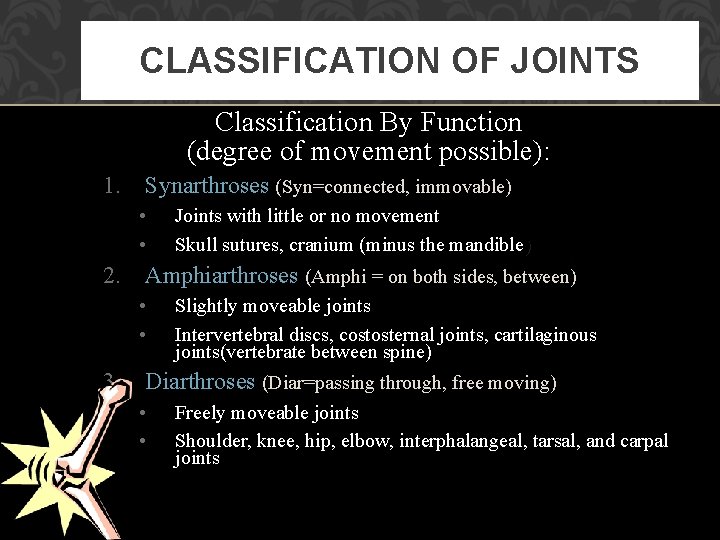 CLASSIFICATION OF JOINTS Classification By Function (degree of movement possible): 1. Synarthroses (Syn=connected, immovable)