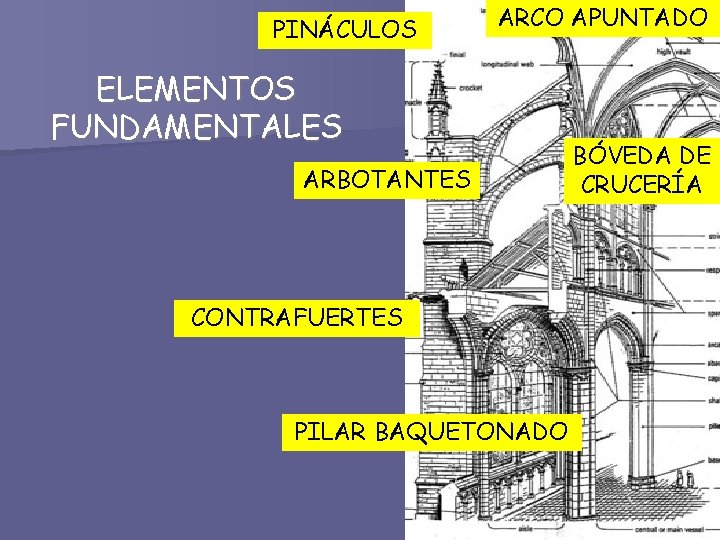 PINÁCULOS ARCO APUNTADO ELEMENTOS FUNDAMENTALES ARBOTANTES CONTRAFUERTES PILAR BAQUETONADO BÓVEDA DE CRUCERÍA 