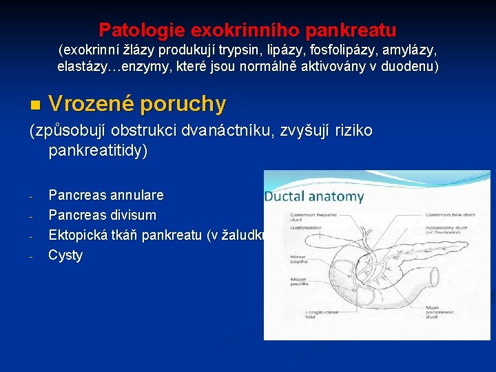 Patologie exokrinního pankreatu (exokrinní žlázy produkují trypsin, lipázy, fosfolipázy, amylázy, elastázy…enzymy, které jsou normálně