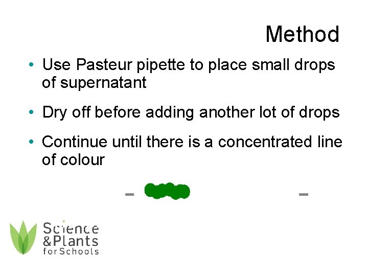 Method • Use Pasteur pipette to place small drops of supernatant • Dry off