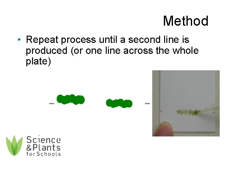 Method • Repeat process until a second line is produced (or one line across