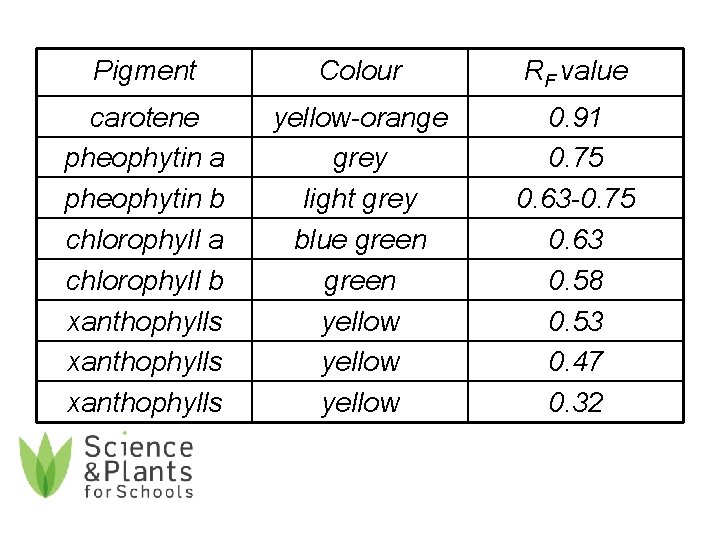 Pigment Colour RF value carotene pheophytin a pheophytin b chlorophyll a chlorophyll b xanthophylls