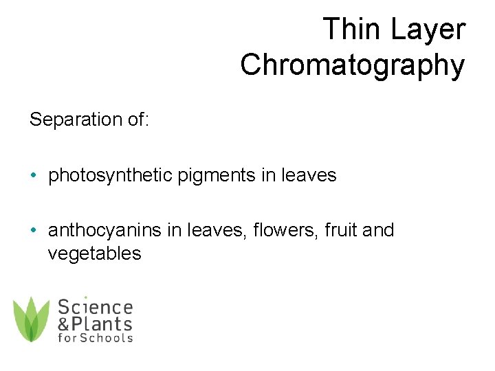 Thin Layer Chromatography Separation of: • photosynthetic pigments in leaves • anthocyanins in leaves,