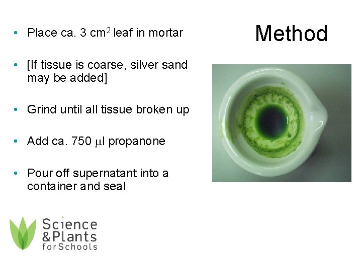  • Place ca. 3 cm 2 leaf in mortar • [If tissue is