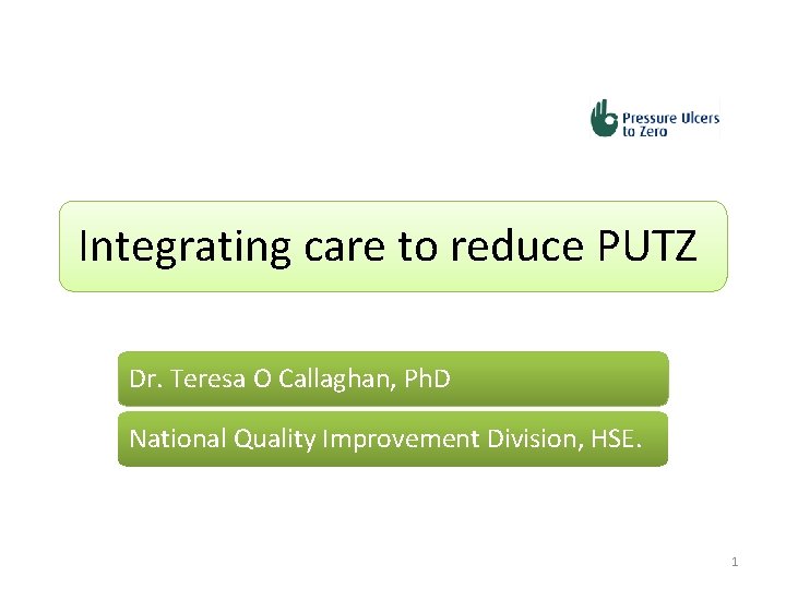 Integrating care to reduce PUTZ Dr. Teresa O Callaghan, Ph. D National Quality Improvement