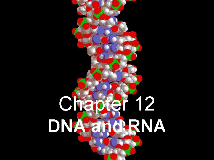 Chapter 12 DNA and RNA 