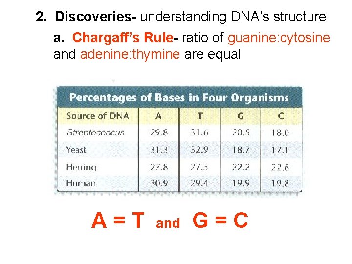 2. Discoveries- understanding DNA’s structure a. Chargaff’s Rule- ratio of guanine: cytosine and adenine: