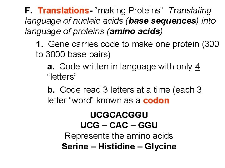 F. Translations “making Proteins” Translating language of nucleic acids (base sequences) into language of