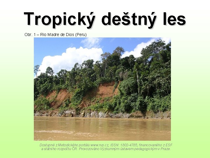 Tropický deštný les Obr. 1 – Rio Madre de Dios (Peru) Dostupné z Metodického