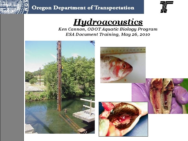 Hydroacoustics Ken Cannon, ODOT Aquatic Biology Program ESA Document Training, May 26, 2010 
