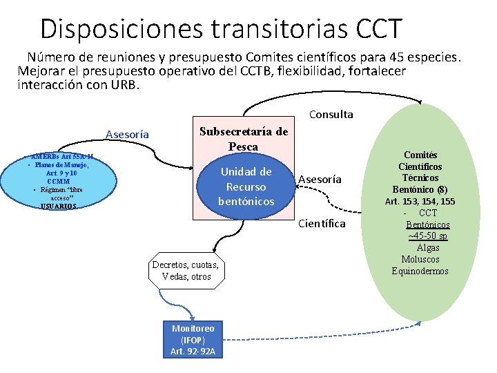 Disposiciones transitorias CCT Número de reuniones y presupuesto Comites científicos para 45 especies. Mejorar