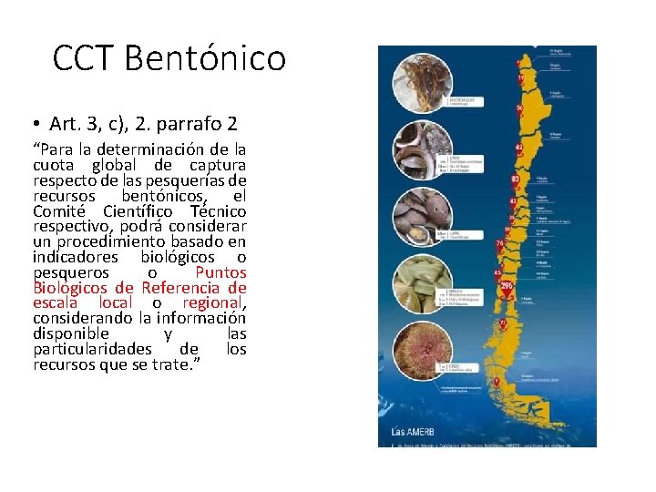 CCT Bentónico • Art. 3, c), 2. parrafo 2 “Para la determinación de la