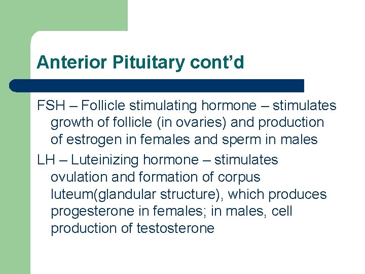 Anterior Pituitary cont’d FSH – Follicle stimulating hormone – stimulates growth of follicle (in