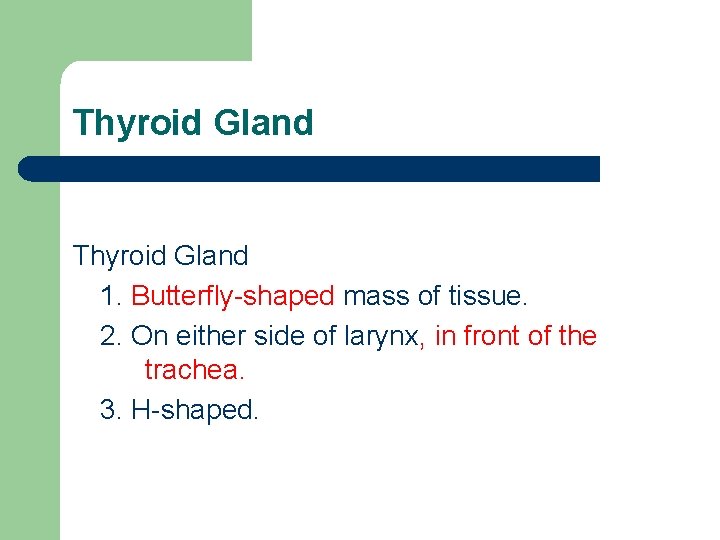 Thyroid Gland 1. Butterfly-shaped mass of tissue. 2. On either side of larynx, in