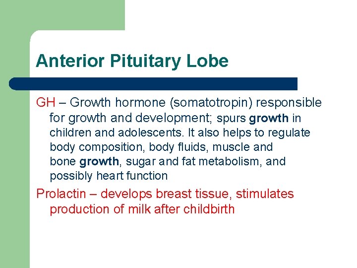 Anterior Pituitary Lobe GH – Growth hormone (somatotropin) responsible for growth and development; spurs