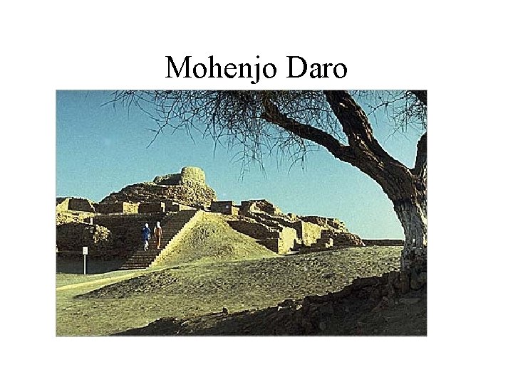 Mohenjo Daro 