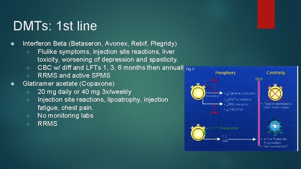 DMTs: 1 st line ● ● Interferon Beta (Betaseron, Avonex, Rebif, Plegridy) ○ Flulike