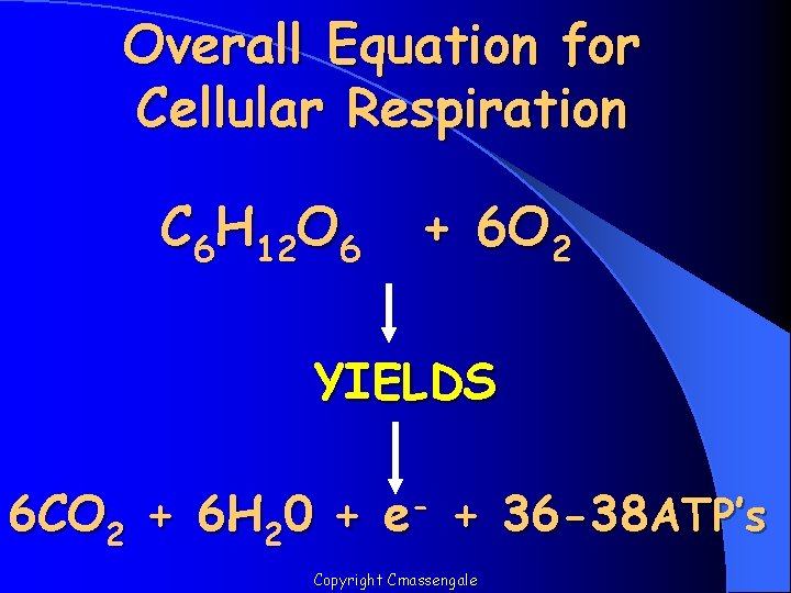 Overall Equation for Cellular Respiration C 6 H 12 O 6 + 6 O