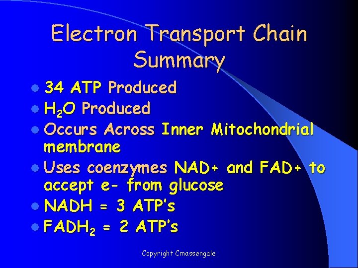 Electron Transport Chain Summary l 34 ATP Produced l H 2 O Produced l
