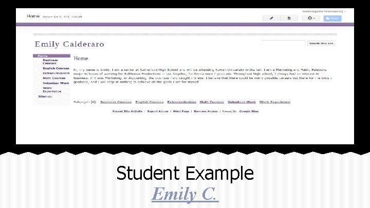 Student Example Emily C. 