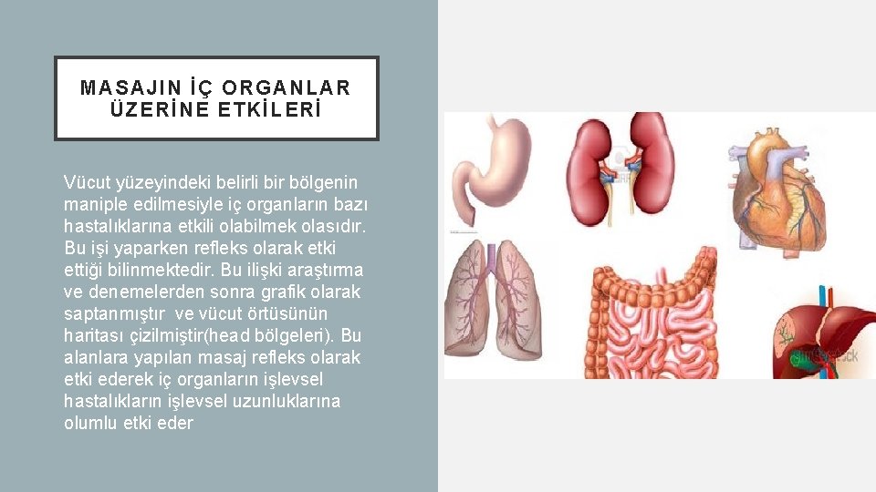 MASAJIN İÇ ORGANLAR ÜZERİNE ETKİLERİ Vücut yüzeyindeki belirli bir bölgenin maniple edilmesiyle iç organların