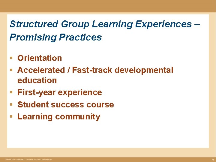 Structured Group Learning Experiences – Promising Practices § Orientation § Accelerated / Fast-track developmental