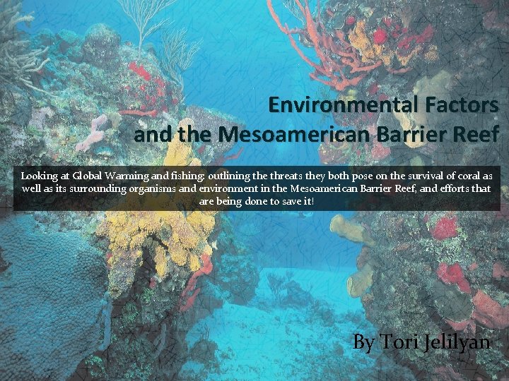 Environmental Factors and the Mesoamerican Barrier Reef Looking at Global Warming and fishing: outlining