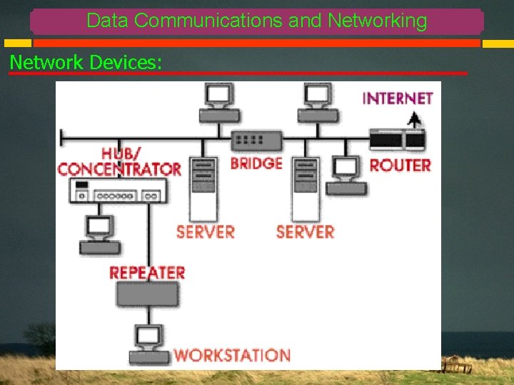 Data Communications and Networking Network Devices: 
