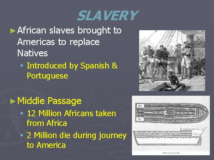 SLAVERY ► African slaves brought to Americas to replace Natives § Introduced by Spanish