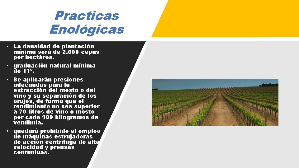 Practicas Enológicas • La densidad de plantación mínima será de 2. 000 cepas por